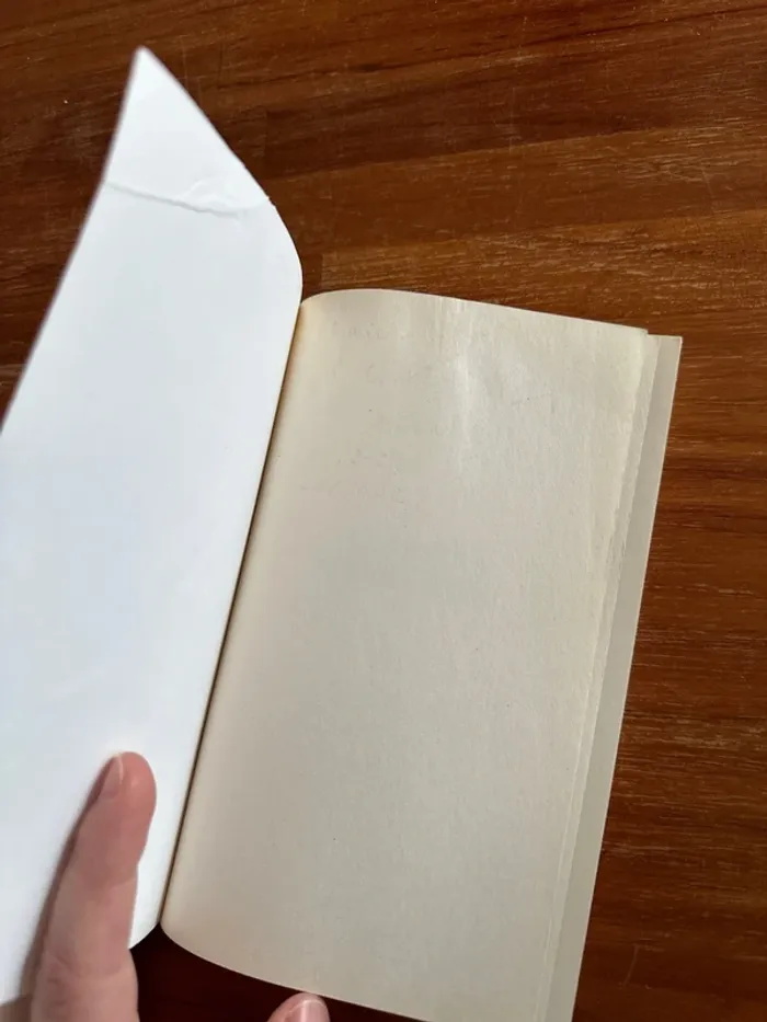 Livre la petite fille à la balançoire - photo numéro 4