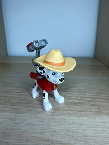 Marcus cow-boy pat patrouille