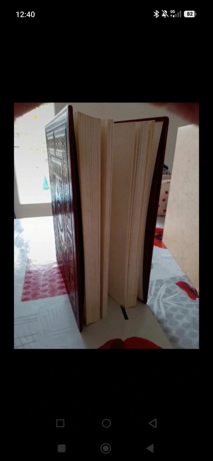 Livre des merveilles - photo numéro 3