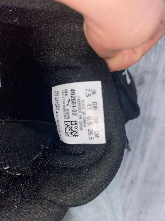 Puma Noir - photo numéro 2