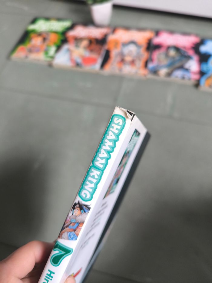 Shaman king intégrale 32 mangas - photo numéro 7