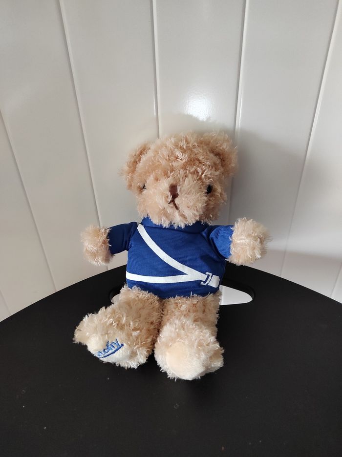 Peluche ours - photo numéro 3
