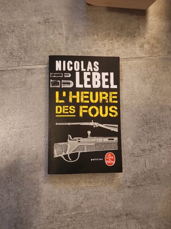Livre : L'heure des fous
