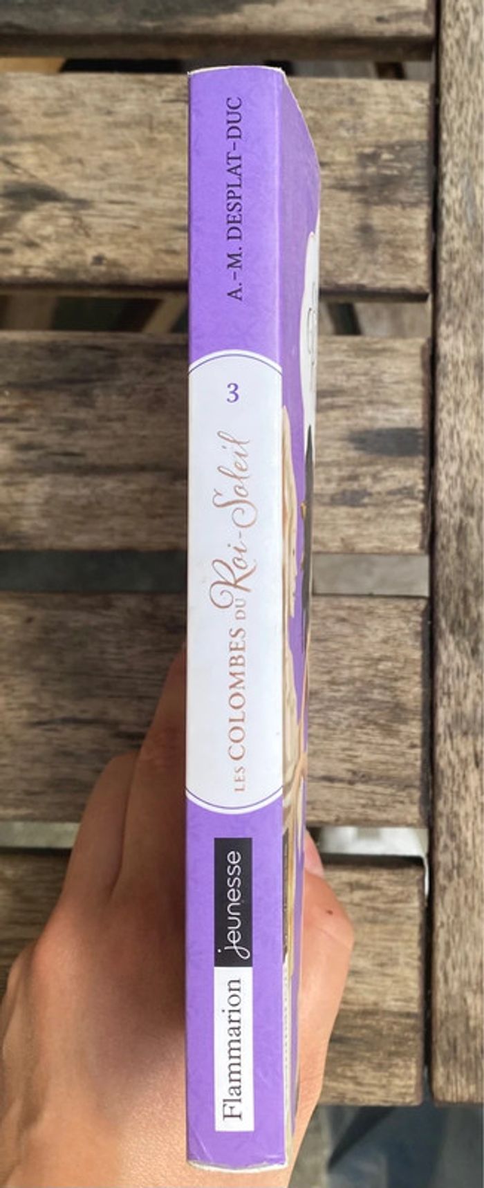 Les colombes du roi soleil, tome 3 - photo numéro 3