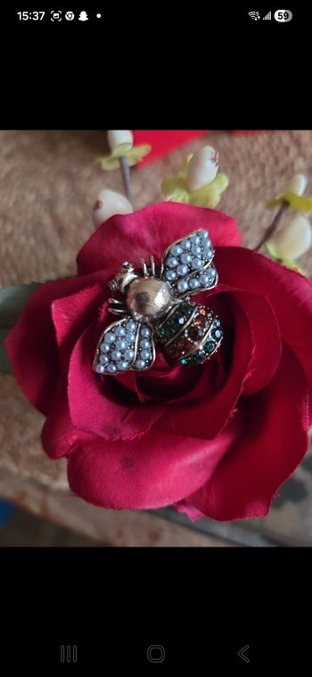 Petite Abeille butineuse colorée