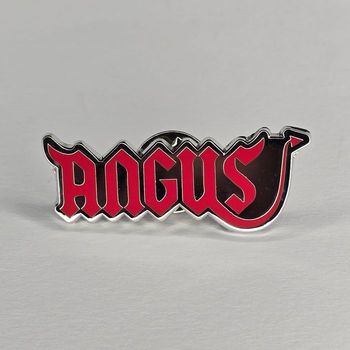 Pin's ANGUS YOUNG GUITARISTE AXDC GROUPE MUSIQUE HARD ROCK 