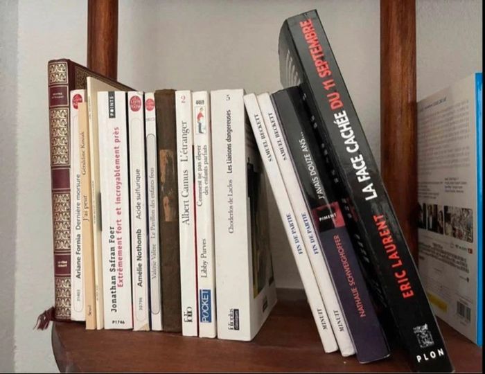 + de 100 romans et autres en tous genres (prix variables)
