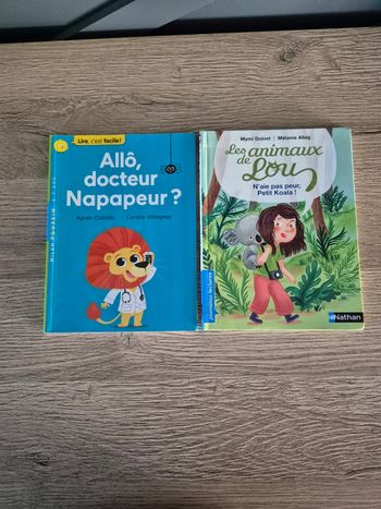 Lot de 2 livres de lecture CP