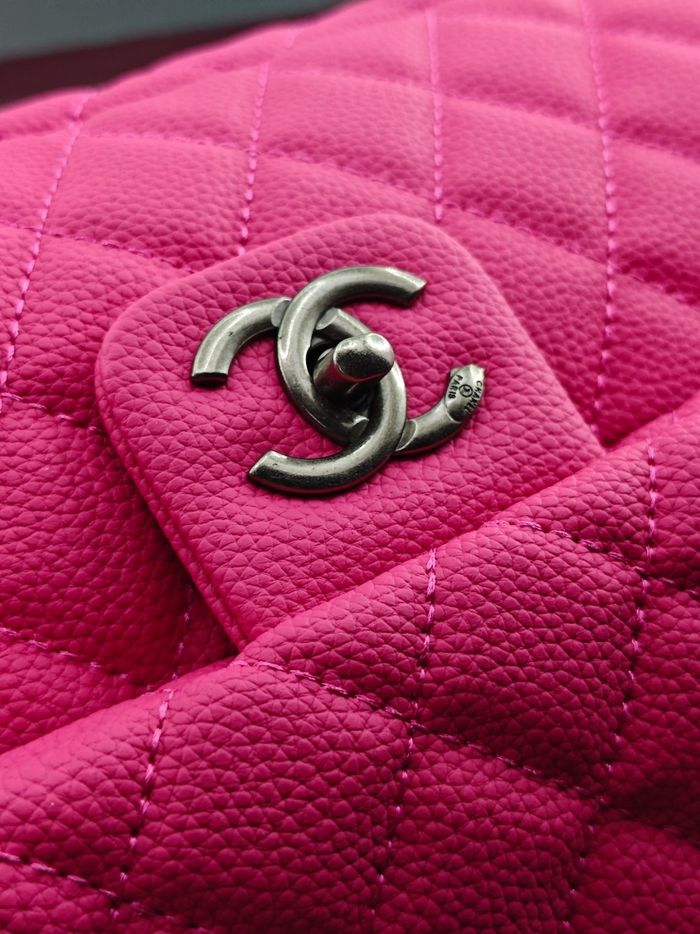 Chane1 6008 - photo numéro 7