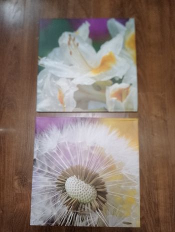 Cadre fleurs Artist's collection, "La Signature d'un peintre" copyright MCM S.A.