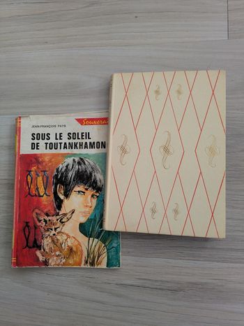 Sous le soleil de toutankhamon