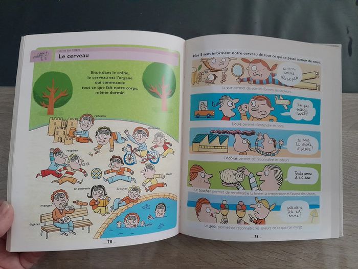 mon premier larousse des sciences - de la vie et de la terre - photo numéro 6