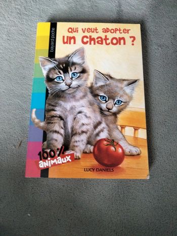 Qui va adopter un chaton