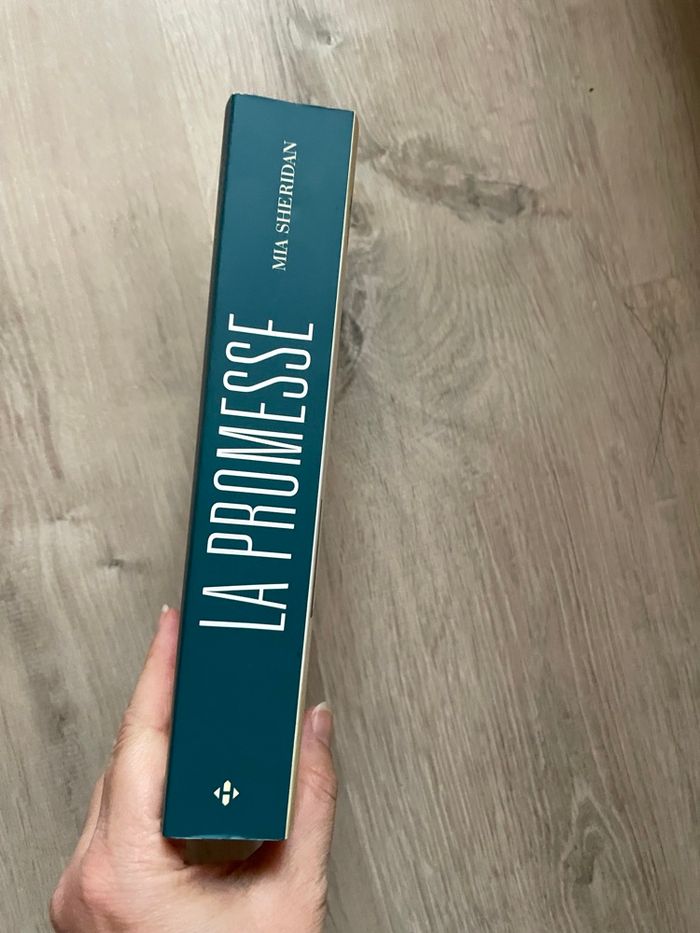 La promesse - photo numéro 3