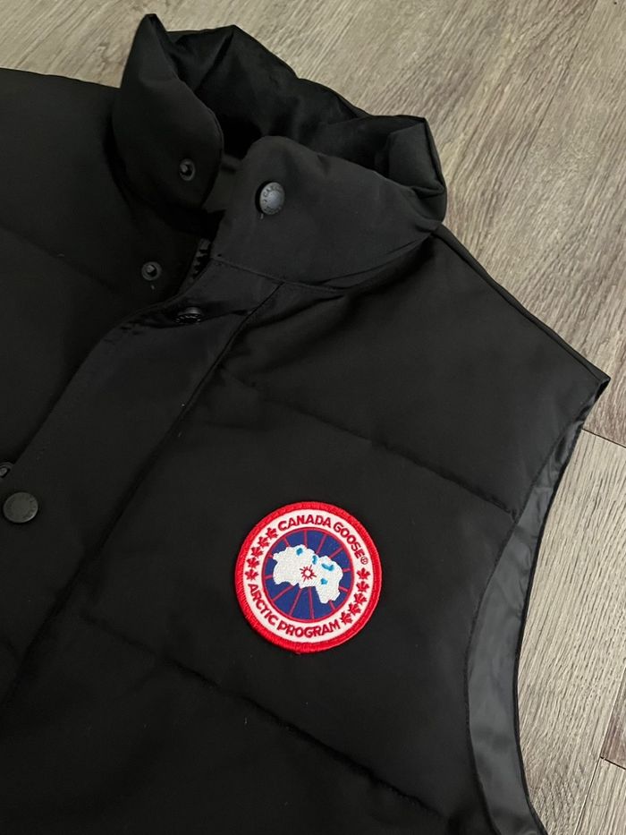 Canada goose - photo numéro 6