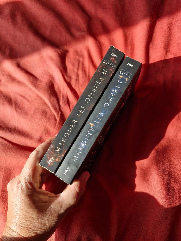 Intégrale Saga Marquer les ombres Best Seller - photo numéro 4