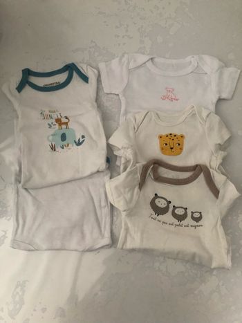 Bodies manches courtes