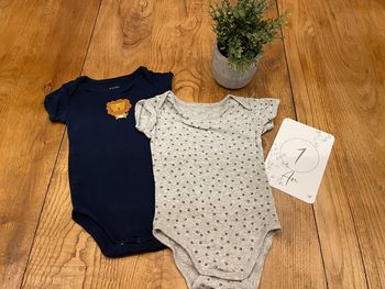 Lot de 2 bodies manches courtes bout chou 12 mois