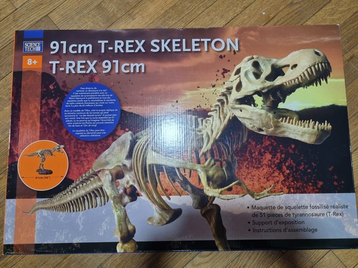 T Rex skeleton neuf