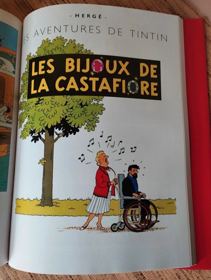 Les aventures de Tintin club France loisirs 2007 Casterman - photo numéro 6