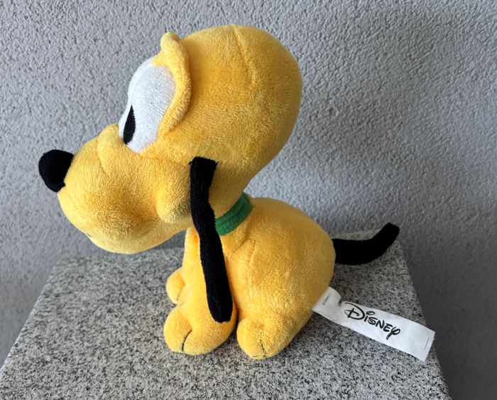 chien - photo numéro 2