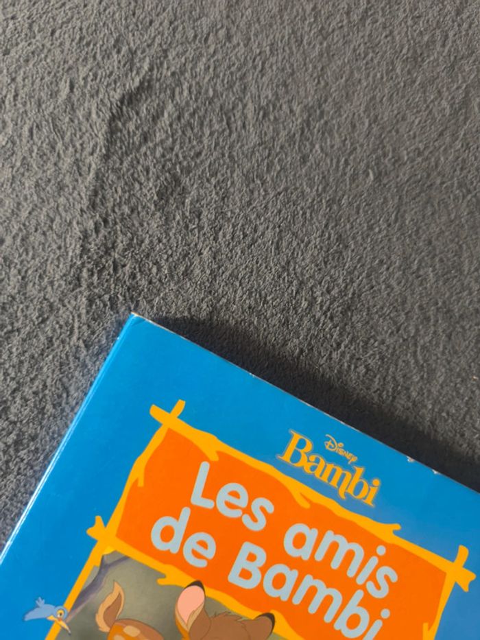 Livre cartonné Les amis de Bambi - photo numéro 4