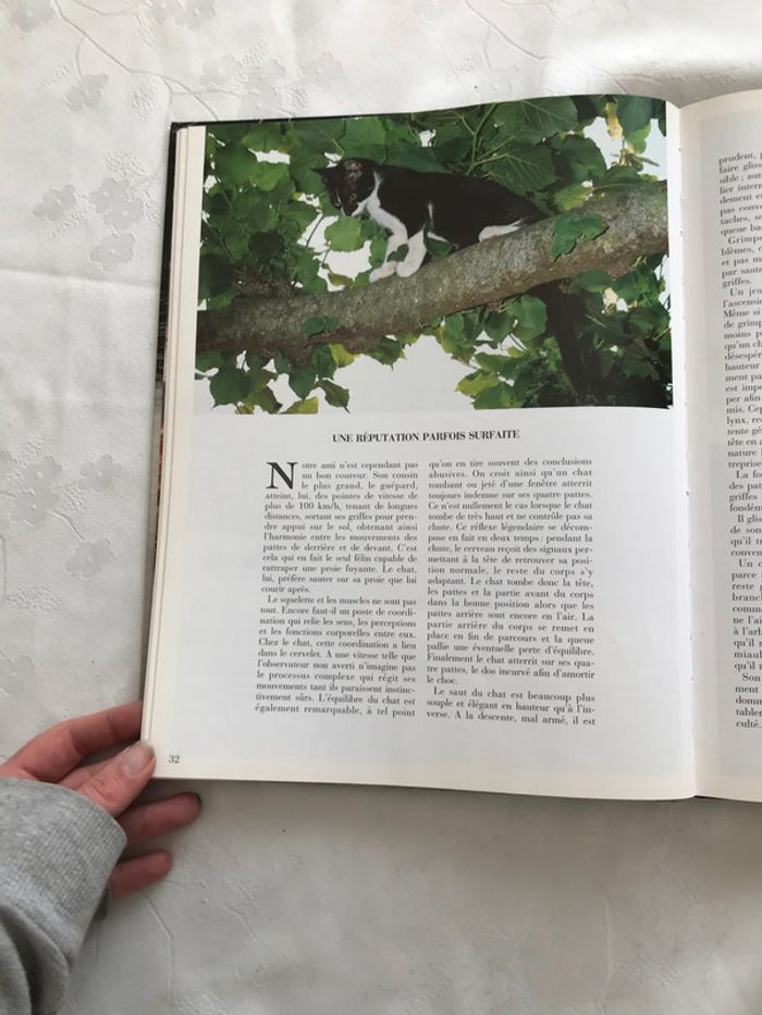 Le Chat et nous - photo numéro 9