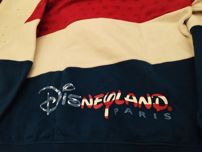 Pull homme Disneyland Paris L - photo numéro 5