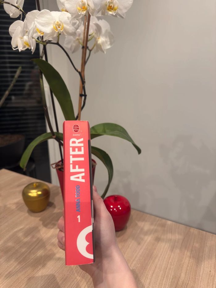 After tome 1 - Anna Todd - photo numéro 3