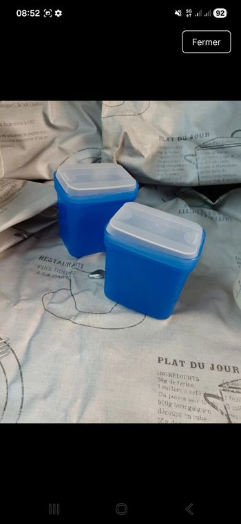 Tupperware lot 2 boîtes bascule 450 ml bleu 