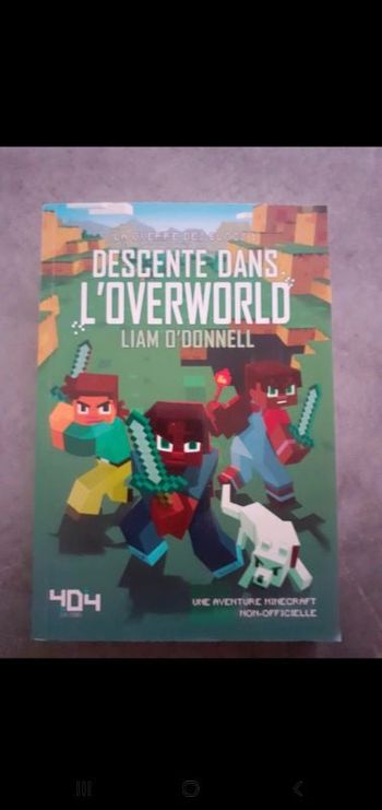 Descente dans l 'overworld