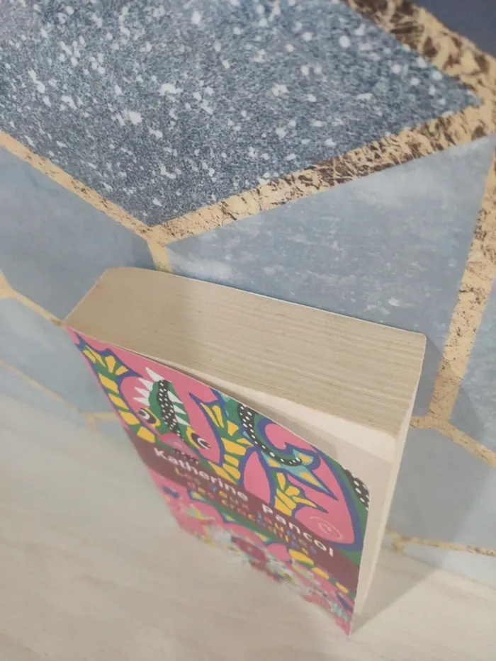 Livre poche les yeux jaunes des crocodiles Pancol - photo numéro 2