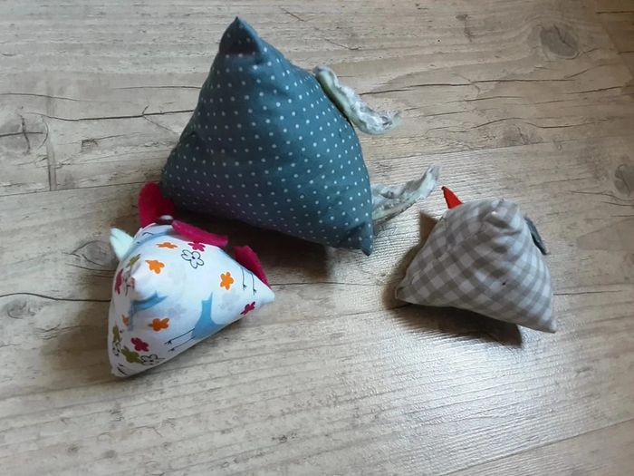 Poule et ses poussins - photo numéro 4