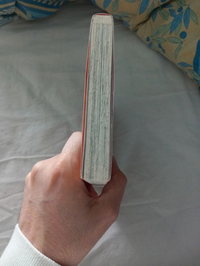 Fairy Tail Volume 1 - photo numéro 6