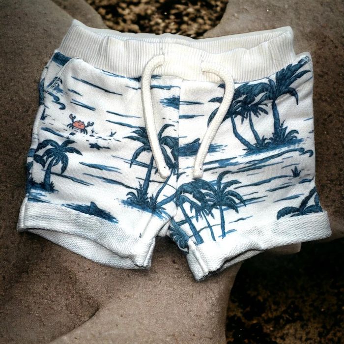 Lot 3 shorts TAO 6 mois TBE (13€) - photo numéro 2
