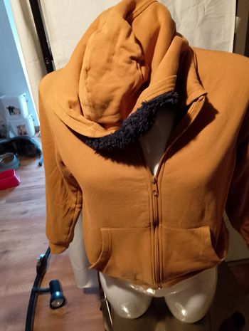 veste avec capuche t12ans