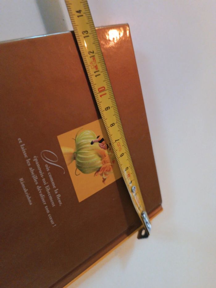 Petit small Livre Book jaune yellow abeille bee photo photographie Anne Geddes bébé baby amour 2003 - photo numéro 9