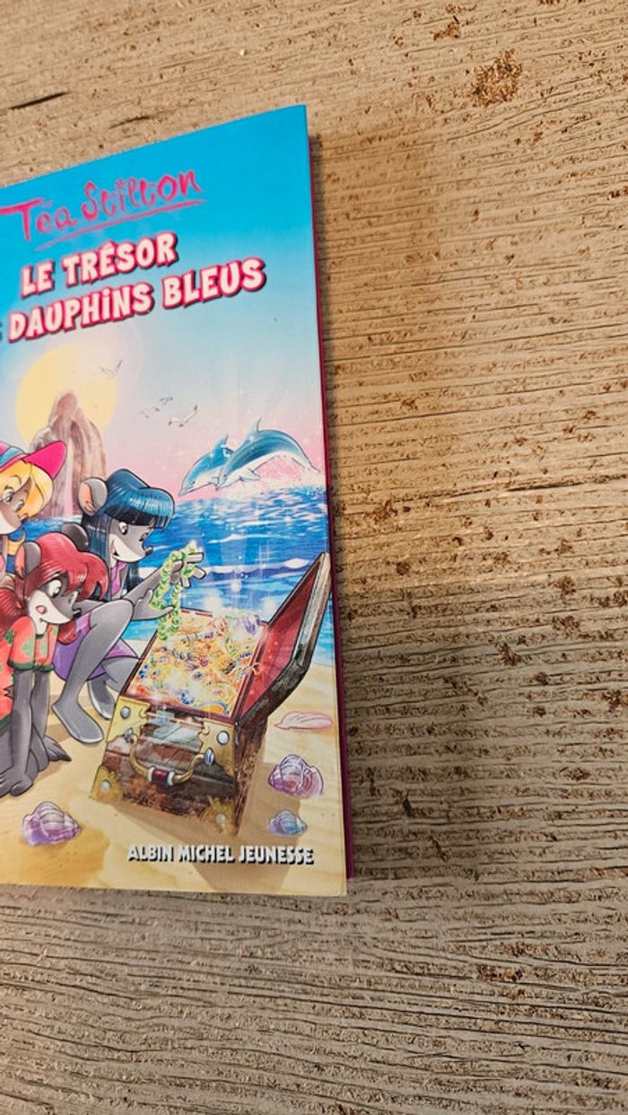 Livre enfant Téa Stilton L trésor des dauphins bleus, nickel - photo numéro 3