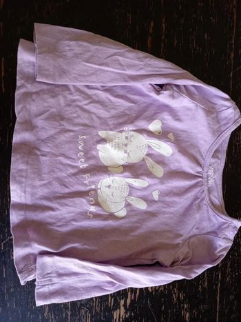 Tee-shirt ML Lapin vio 9 mois
