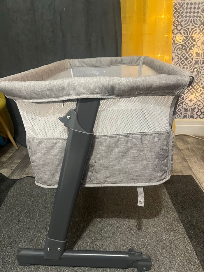 Cododo bébé - photo numéro 3