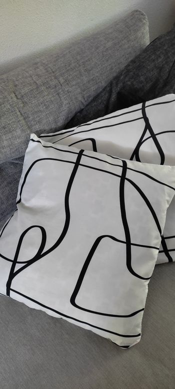 2  housses de coussin 50 *50 cms