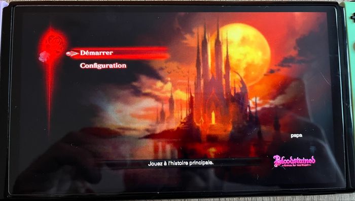 Bloodstained Switch - photo numéro 8