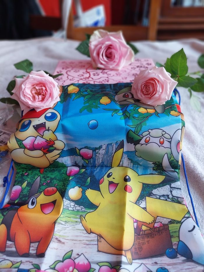 Sac pokemon