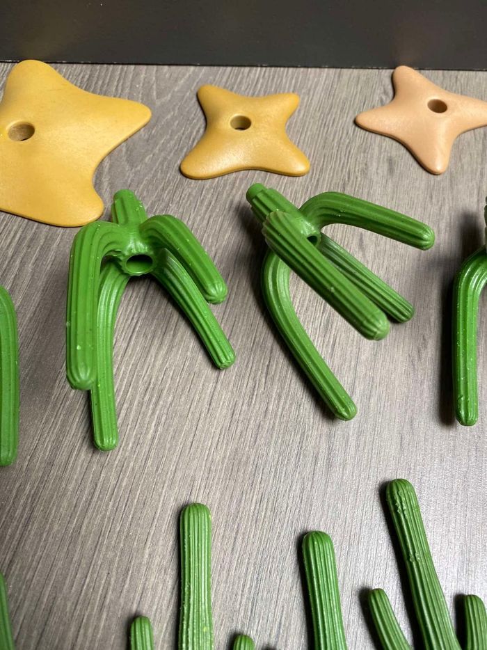 Lot de cactus - photo numéro 10