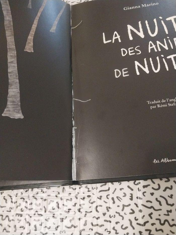 Album jeunesse “La nuit des animaux de nuit” – Gianna Marino – Éditions Casterman - photo numéro 3