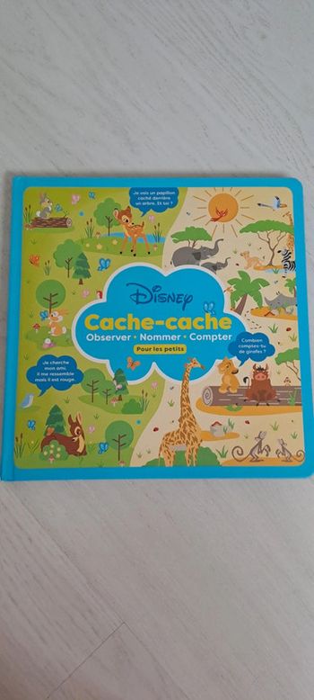 Cache cache pour les petits disney