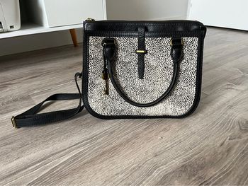 Sac Ryder - Fossil