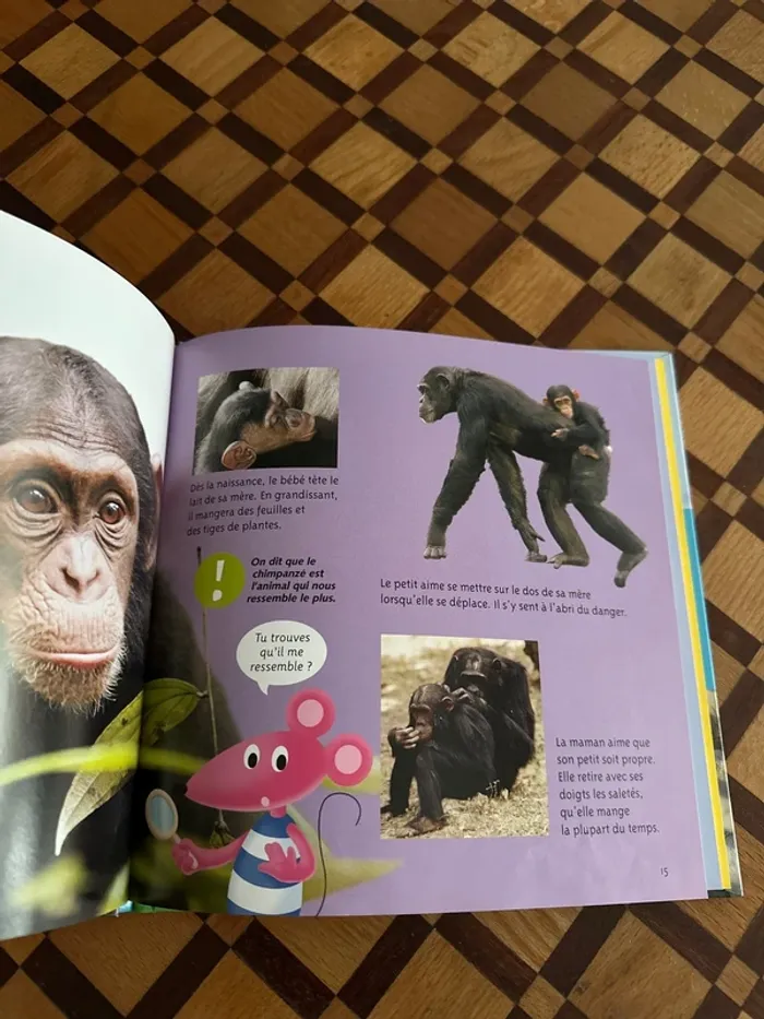 Livre cartonné Les bébés animaux - photo numéro 3