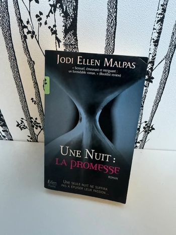 livre Une nuit : la promesse jodi Ellen malpas