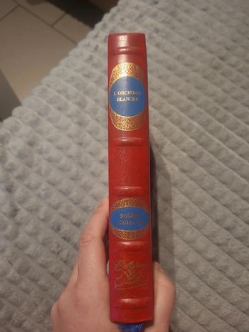 L'orchidée blanche